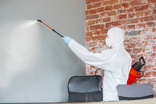 Mold Odor Removal Services in Jonesville, MI