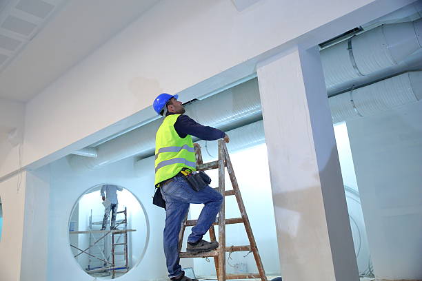 Best Mold Odor Removal Services  in Jonesville, MI