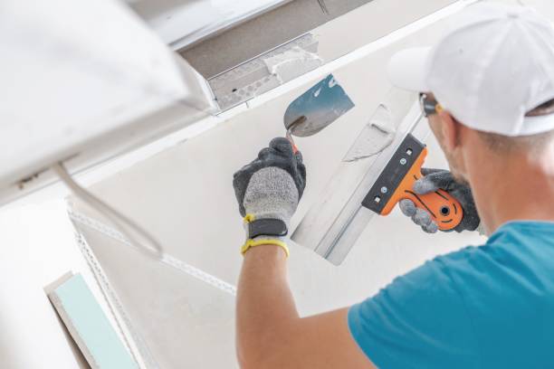 Best Biohazard Mold Removal  in Jonesville, MI